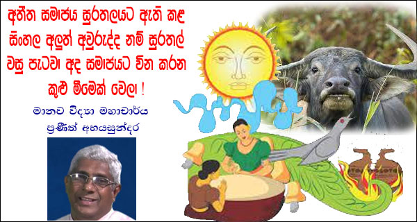 අතීත සමාජය සුරතලයට ඇති කළ සිංහල අලුත් අවුරුද්ද නම් සුරතල් වසු පැටවා අද සමාජයට වින කරන කුළු මීමෙක් වෙලා!