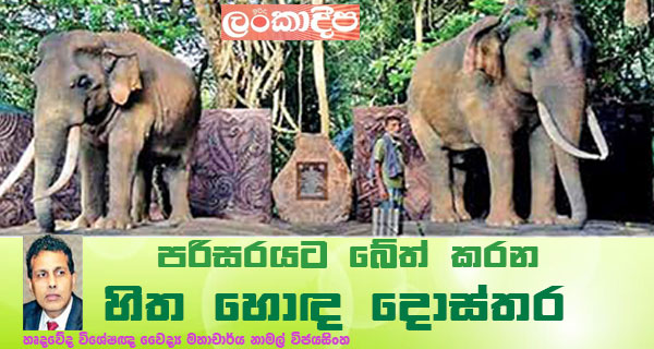 පරිසරයට බේත් කරන හිත හොඳ දොස්තර