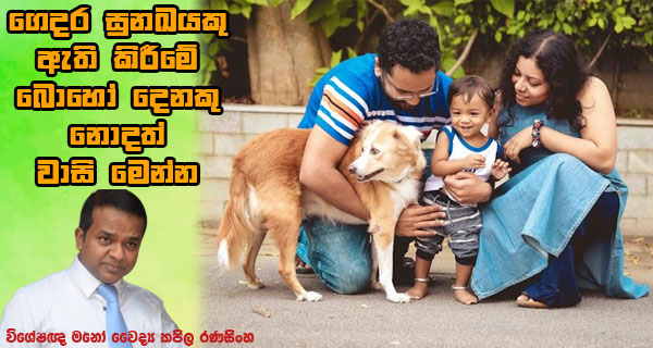 ගෙදර සුනඛයකු ඇති කිරීමේ බොහෝ දෙනකු නොදත් වාසි මෙන්න