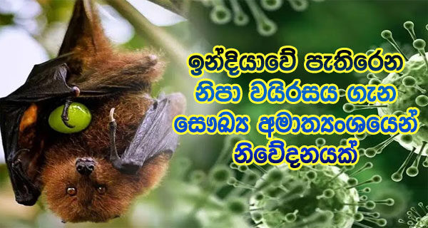 nipah virus symptoms nipah virus treatment nipah virus transmission nipah virus outbreak