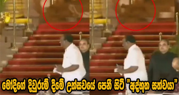 මෝදිගේ දිවුරුම් දීමේ උත්සවයේ පෙනී සිටි “අද්භූත සත්වයා”