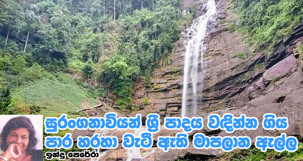 සුරංගනාවියන් ශ්‍රී පාදය වඳින්න ගිය පාර හරහා වැටී ඇති මාපලාන ඇල්ල