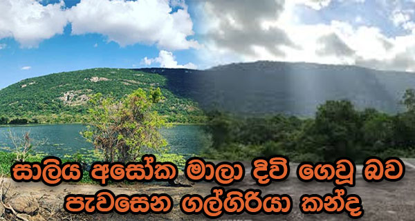 සාලිය අසෝක මාලා දිවි ගෙවූ බව පැවසෙන ගල්ගිරියා කන්ද