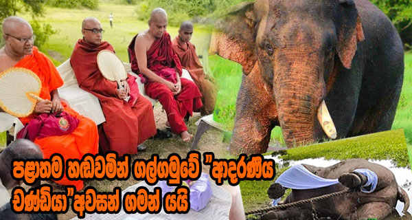 පළාතම හඬවමින් ගල්ගමුවේ “ආදරණීය චණ්ඩියා” අවසන් ගමන් යයි