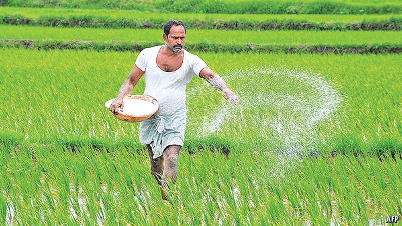 රුපියල් විසි පන් දහසේ පොහොර සහනාධාරය සඳුදා සිට