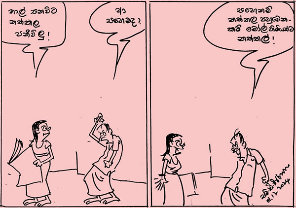 කාටූන් 2024.12.01