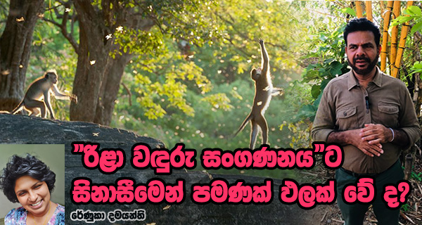 රිළා වඳුරු සංගණනය ශ්‍රී ලංකා වඳුරු සංගණනය රිළා සංරක්ෂණය වඳුරු ජනගහනය හා සංරක්ෂණය vinivida